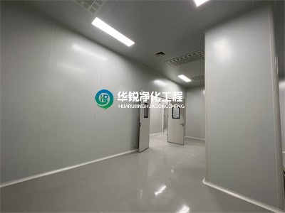 凈化工程中的特點？